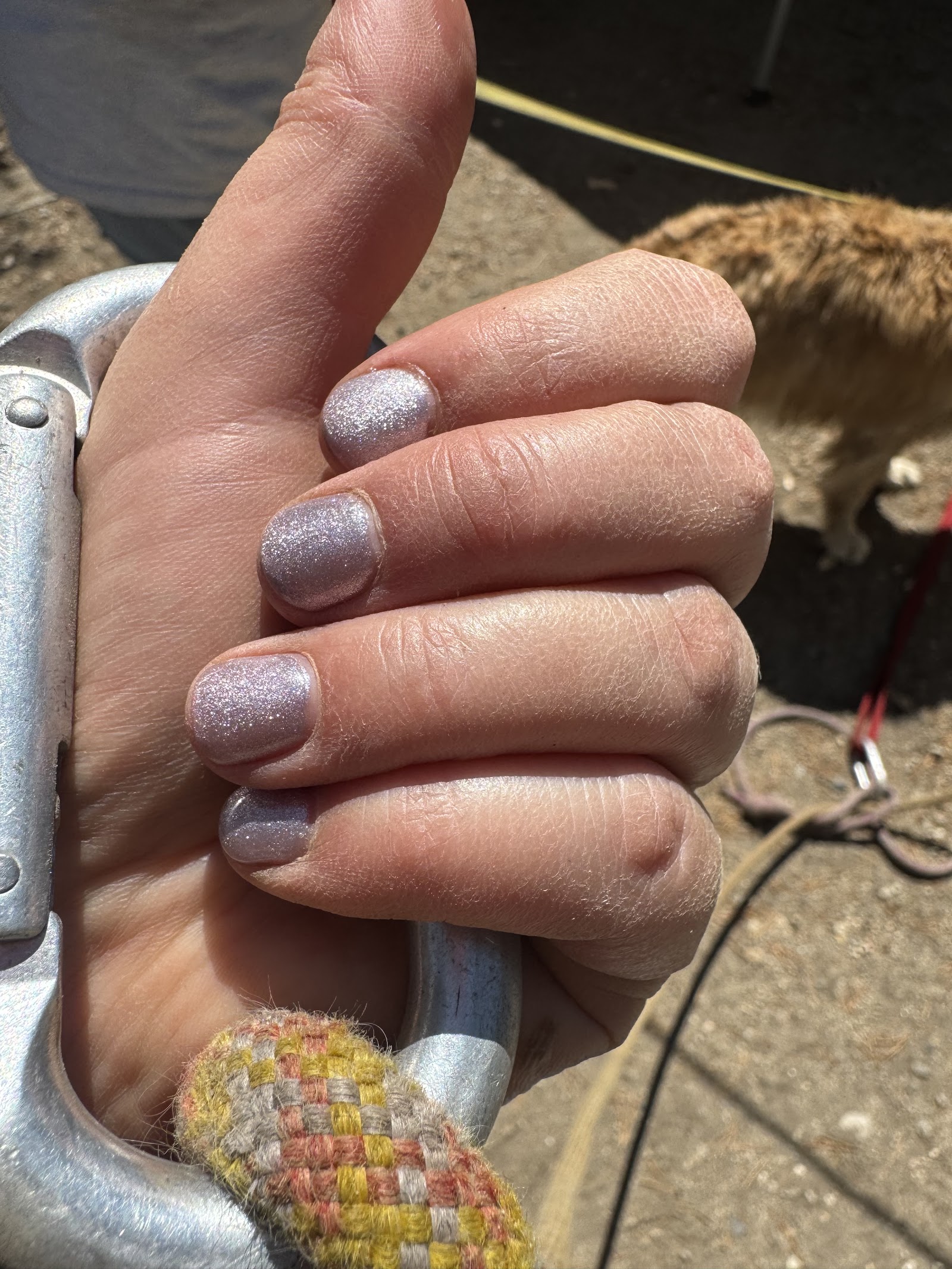 Shimmery Kymerie Aesthetics LLC nail photo 3